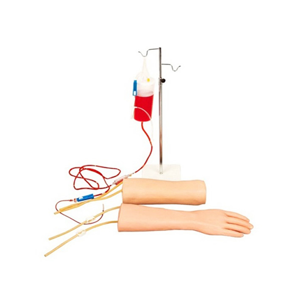 手部、肘部组合式静脉输液（血）训练模型