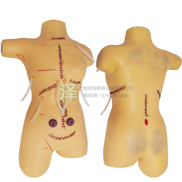 外科缝合包扎展示模型 手术切口缝合技能训练 